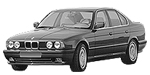 BMW E34 P1494 Fault Code